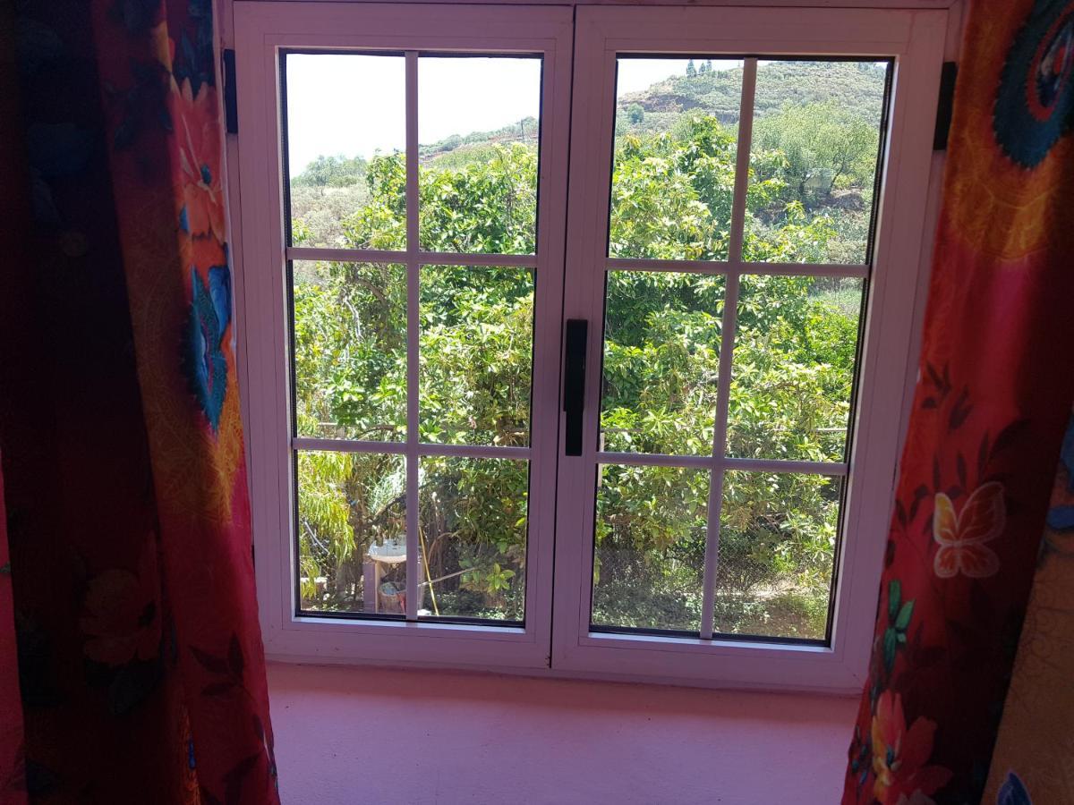 Finca Rural Torres Casas 1 Y 4 Bed & Breakfast Вега де Сан Матео Экстерьер фото