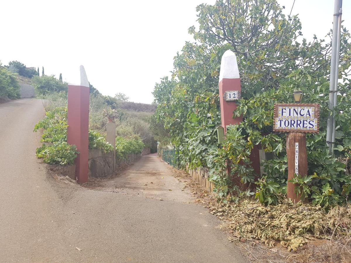 Finca Rural Torres Casas 1 Y 4 Bed & Breakfast Вега де Сан Матео Экстерьер фото