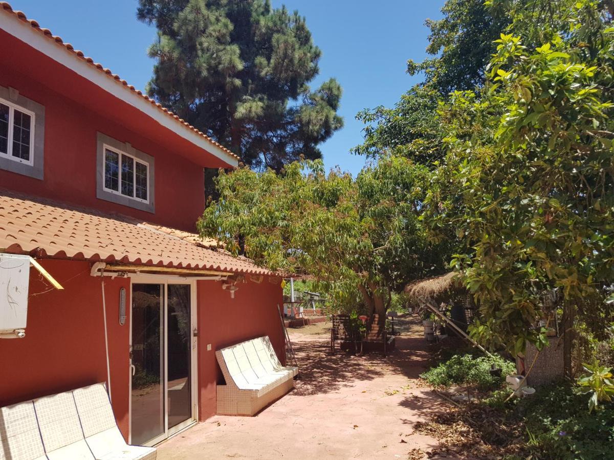 Finca Rural Torres Casas 1 Y 4 Bed & Breakfast Вега де Сан Матео Экстерьер фото