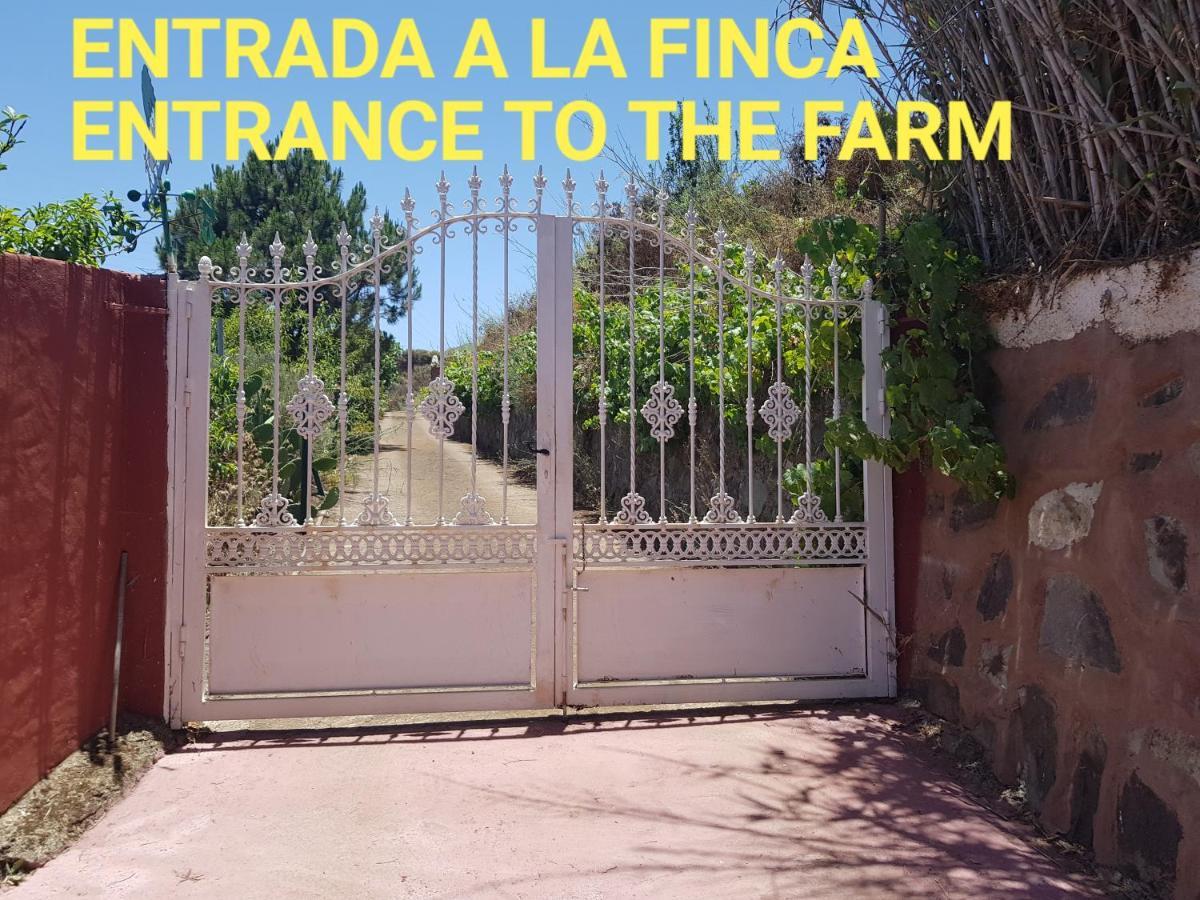 Finca Rural Torres Casas 1 Y 4 Bed & Breakfast Вега де Сан Матео Экстерьер фото