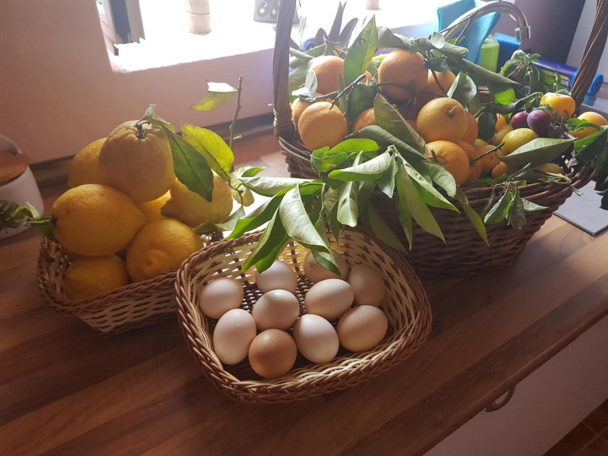 Finca Rural Torres Casas 1 Y 4 Bed & Breakfast Вега де Сан Матео Экстерьер фото