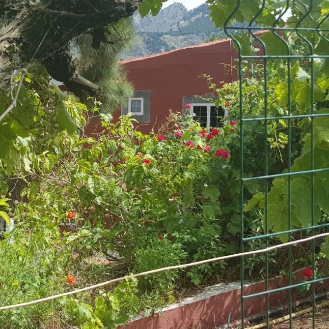 Finca Rural Torres Casas 1 Y 4 Bed & Breakfast Вега де Сан Матео Экстерьер фото