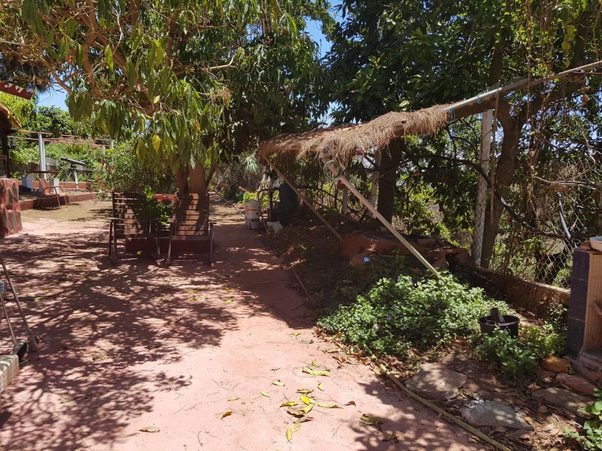 Finca Rural Torres Casas 1 Y 4 Bed & Breakfast Вега де Сан Матео Номер фото